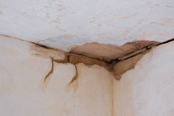 Best Ceiling water damage repair  in Riverse, ID