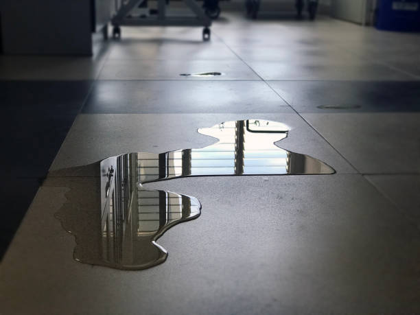 Best Emergency water damage restoration  in Riverse, ID