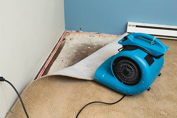 Best Water damage restoration company  in Riverse, ID
